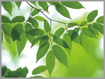 香川県事務機器/(有)MAKOTO